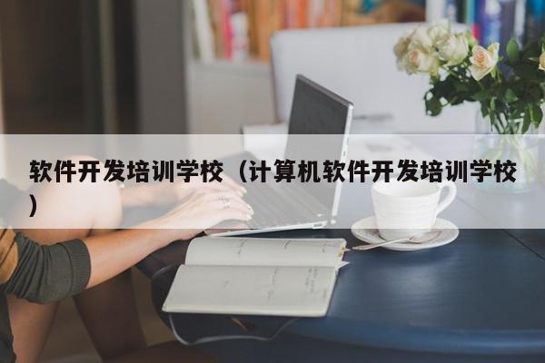 软件开发培训学校（计算机软件开发培训学校）