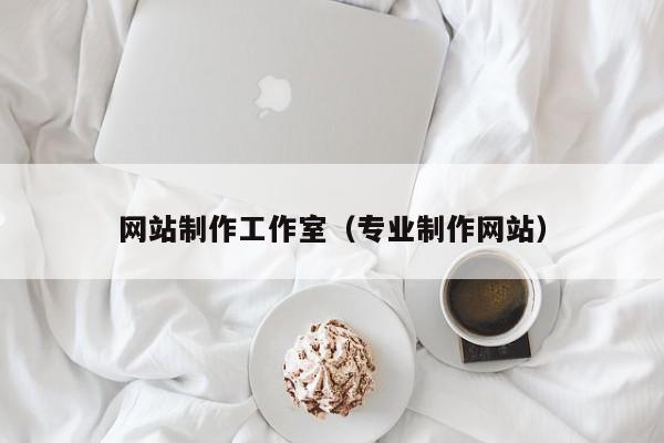 网站制作工作室（专业制作网站）