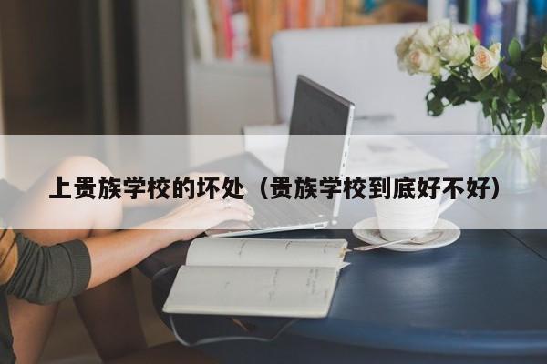 上贵族学校的坏处（贵族学校到底好不好）