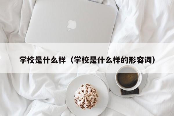 学校是什么样（学校是什么样的形容词）