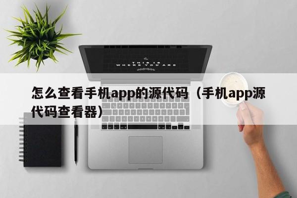 怎么查看手机app的源代码（手机app源代码查看器）