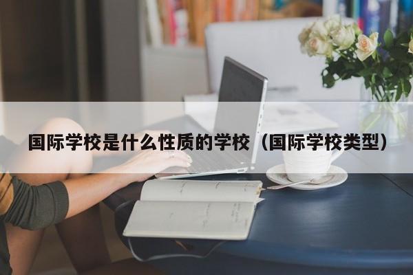 国际学校是什么性质的学校（国际学校类型）