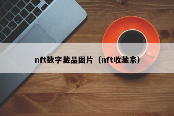 nft数字藏品图片（nft收藏家）