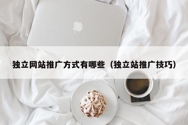 独立网站推广方式有哪些（独立站推广技巧）