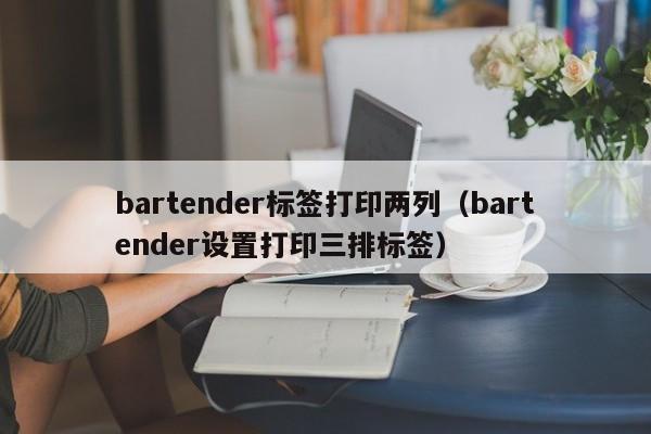 bartender标签打印两列（bartender设置打印三排标签）