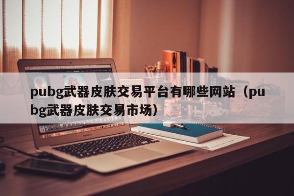 pubg武器皮肤交易平台有哪些网站（pubg武器皮肤交易市场）