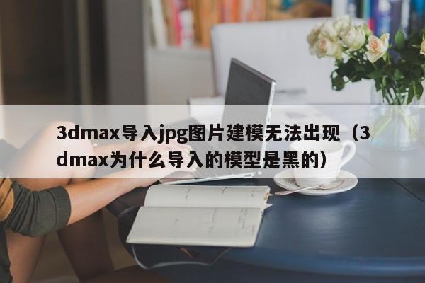 3dmax导入jpg图片建模无法出现（3dmax为什么导入的模型是黑的）