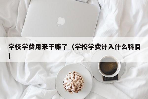 学校学费用来干嘛了（学校学费计入什么科目）