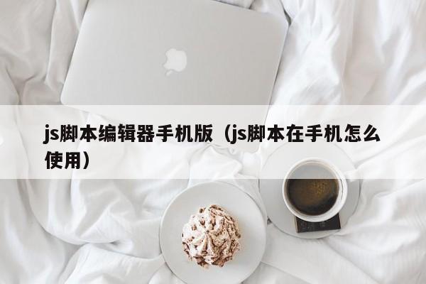 js脚本编辑器手机版（js脚本在手机怎么使用）