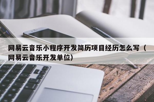 网易云音乐小程序开发简历项目经历怎么写（网易云音乐开发单位）