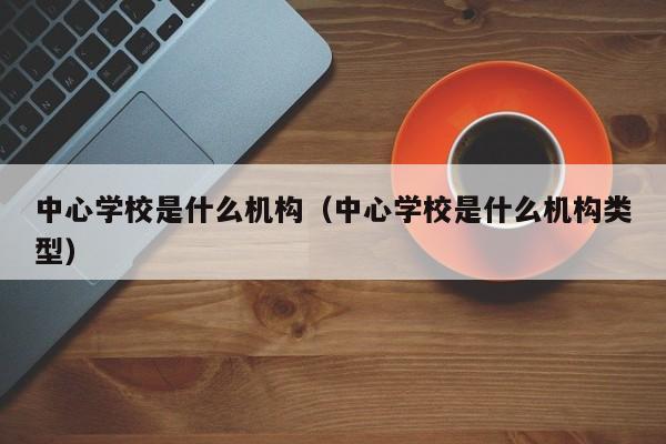 中心学校是什么机构（中心学校是什么机构类型）