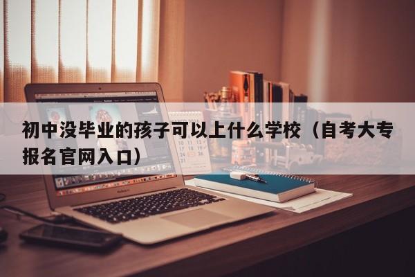 初中没毕业的孩子可以上什么学校（自考大专报名官网入口）