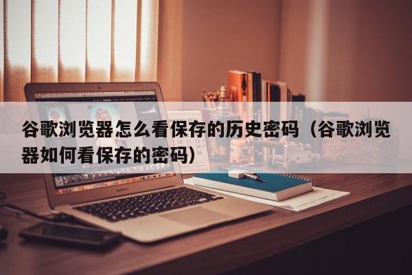 谷歌浏览器怎么看保存的历史密码（谷歌浏览器如何看保存的密码）