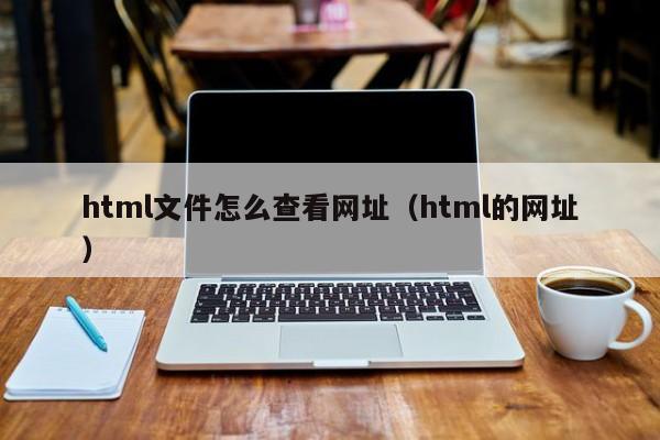 html文件怎么查看网址（html的网址）