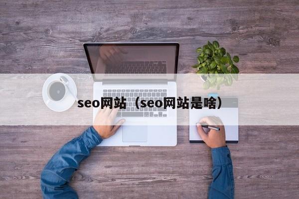 seo网站（seo网站是啥）