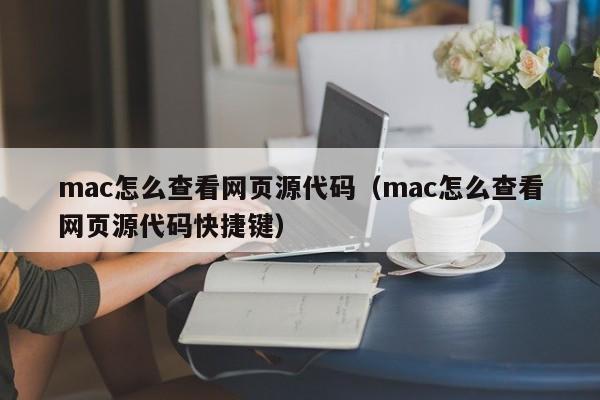 mac怎么查看网页源代码（mac怎么查看网页源代码快捷键）