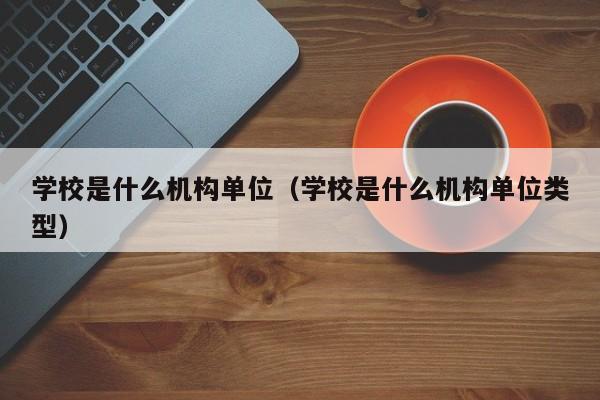 学校是什么机构单位（学校是什么机构单位类型）