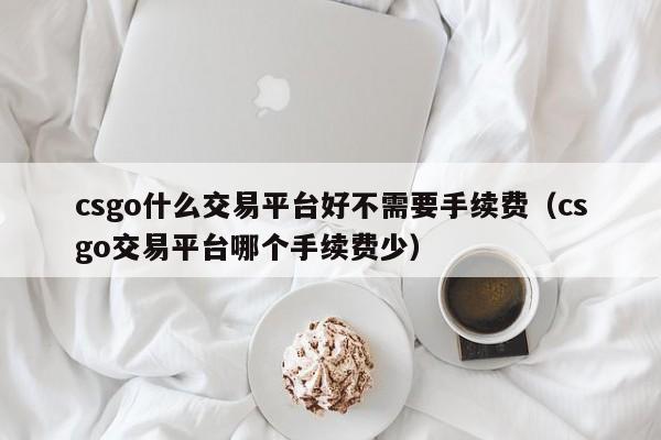 csgo什么交易平台好不需要手续费（csgo交易平台哪个手续费少）