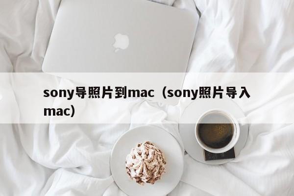 sony导照片到mac（sony照片导入mac）