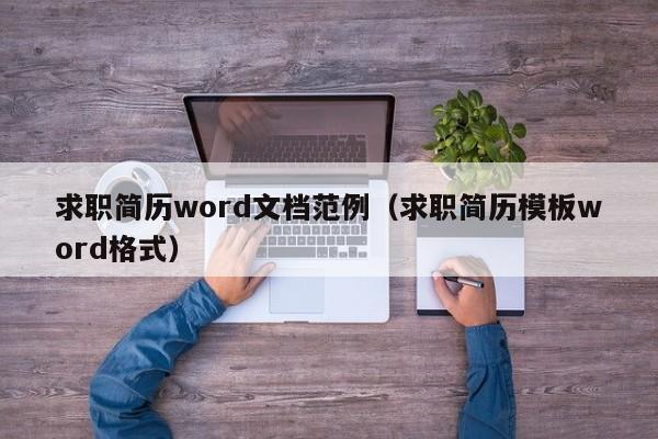 求职简历word文档范例（求职简历模板word格式）