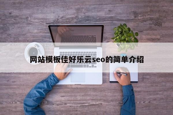 网站模板佳好乐云seo的简单介绍