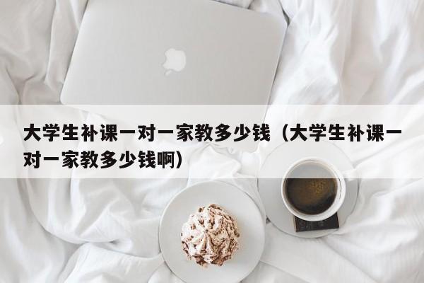 大学生补课一对一家教多少钱（大学生补课一对一家教多少钱啊）