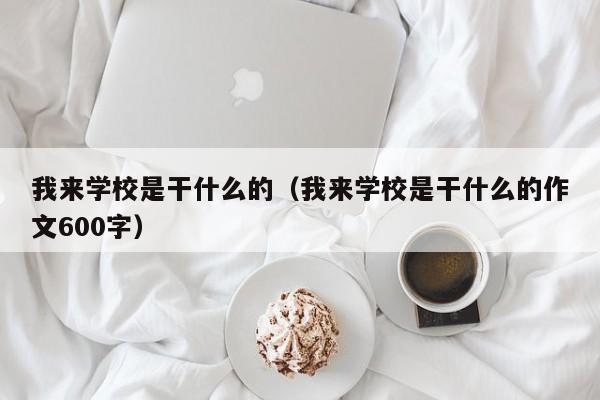 我来学校是干什么的（我来学校是干什么的作文600字）