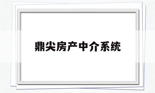 鼎尖房产中介系统(鼎尖房产中介系统多少钱一年)