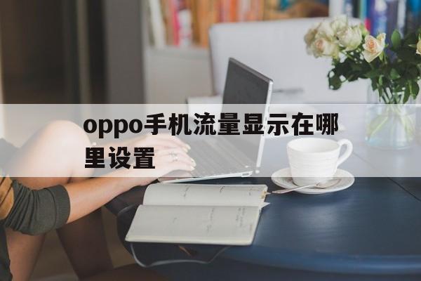 oppo手机流量显示在哪里设置(oppo手机怎么显示流量使用情况)