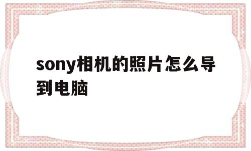 sony相机的照片怎么导到电脑(sony相机的照片怎么导到电脑里)