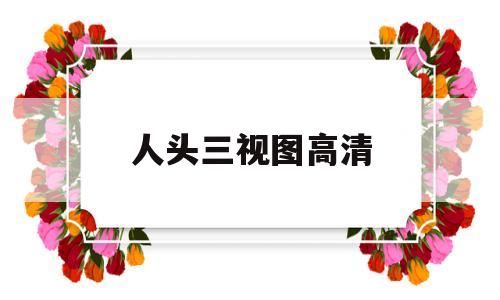 人头三视图高清(人头三视图高清女子)