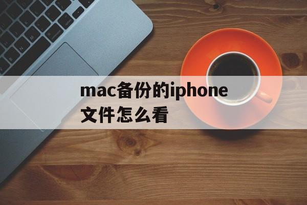 mac备份的iphone文件怎么看(iphone备份在mac上的数据在哪个文件夹)