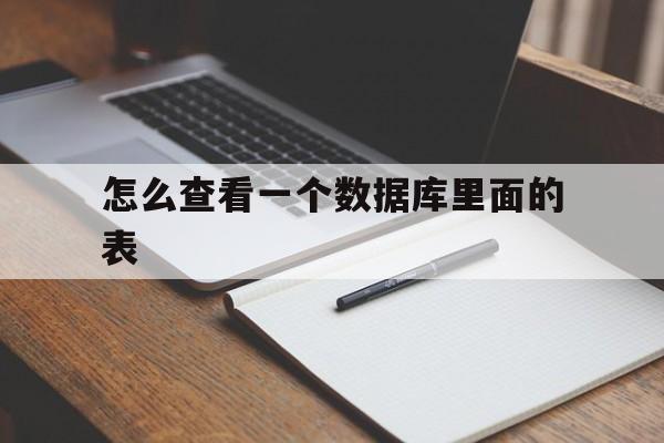 怎么查看一个数据库里面的表(怎么查看一个数据库里面的表格)