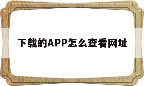 下载的APP怎么查看网址(下载的app怎么查看网址链接)