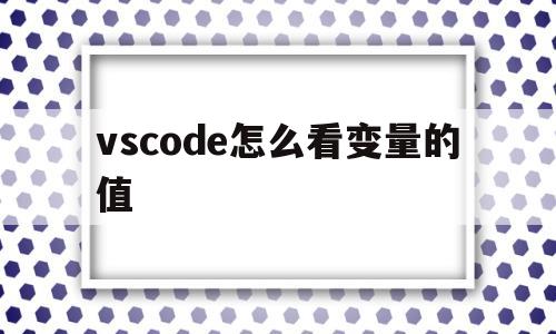 vscode怎么看变量的值(vscode怎么快速查看函数定义)