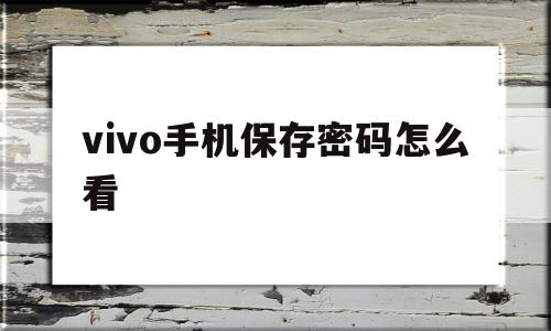 vivo手机保存密码怎么看(vivo手机密码保存在哪个文件夹)