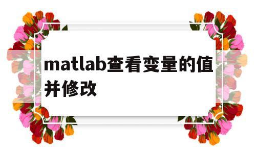 matlab查看变量的值并修改(matlab查看变量类型大小的命令)