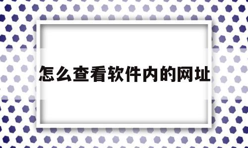 怎么查看软件内的网址(怎么查看软件内的网址是什么)