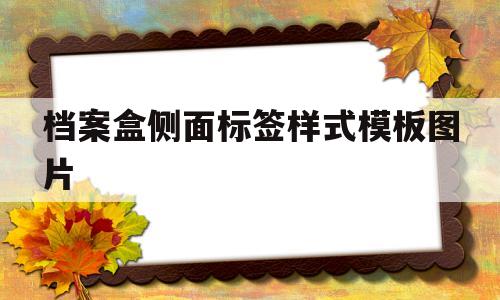 档案盒侧面标签样式模板图片(档案盒的侧面标签怎么塞进去)