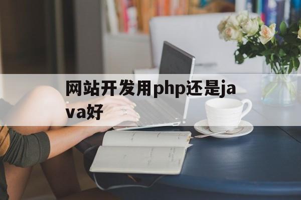 网站开发用php还是java好(网站开发语言java和php区别)