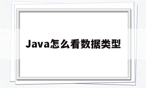 Java怎么看数据类型(java中查看数据类型的函数)