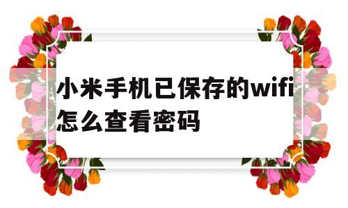 小米手机已保存的wifi怎么查看密码(小米手机已保存的wifi怎么查看密码呢)