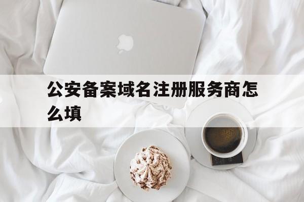 公安备案域名注册服务商怎么填(备案时怎么填域名服务商所属区域)