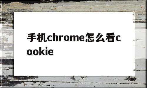 手机chrome怎么看cookie(手机chrome怎么查看cookie)