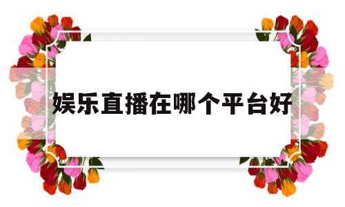 娱乐直播在哪个平台好(娱乐直播哪个平台好一点)