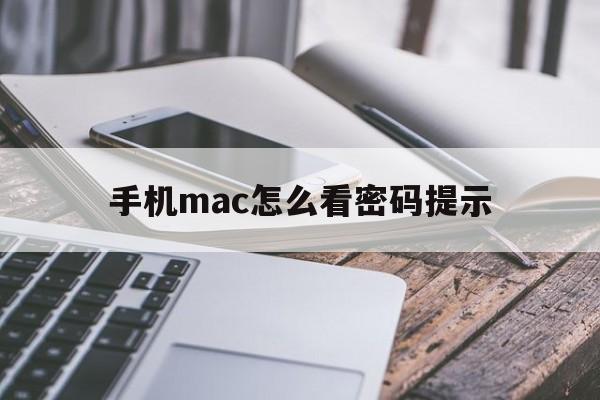 手机mac怎么看密码提示(手机mac怎么看密码提示界面)