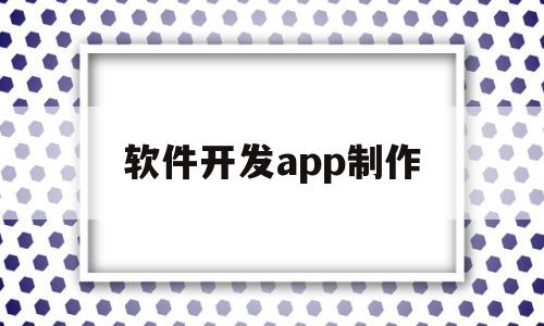 软件开发app制作(软件开发app制作下载)