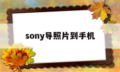 sony导照片到手机(sony把照片传送到手机)