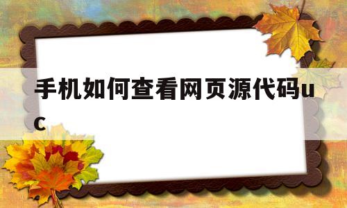 手机如何查看网页源代码uc(手机uc浏览器怎么看网页源代码)