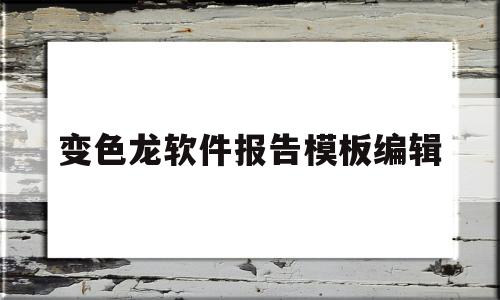 包含变色龙软件报告模板编辑的词条